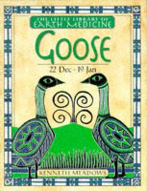 Little Earth Medicine: 10 Goose