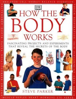 How Body Works