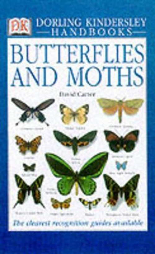 DK Handbook: Butterflies and Moths