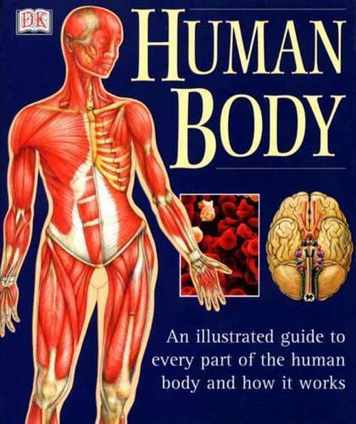 Human Body