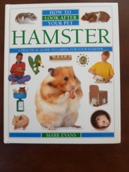 How To Look After Your Pet:  6 Hamster