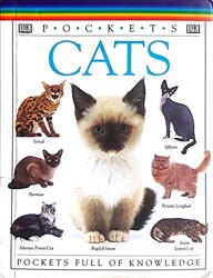 Pockets Cats