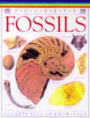 Pockets Fossils