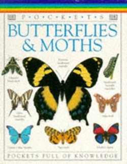 Pockets Butterflies & Moths