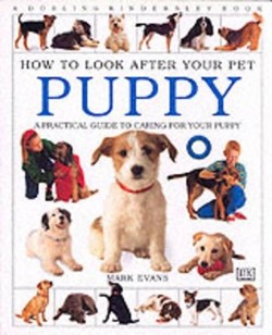 How To Look After Your Pet:  Puppy