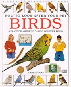 How To Look After Your Pet:  Birds