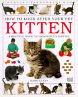 How To Look After Your Pet:  Kitten