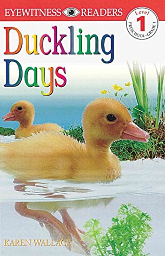 E/W READERS: DUCKLING DAYS - LEVEL 1 1st Edition - Paper