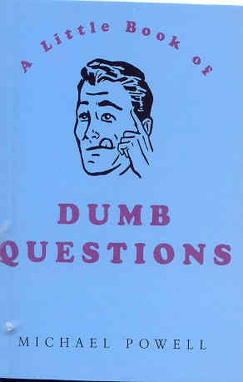 Little Book of Dumb Questions