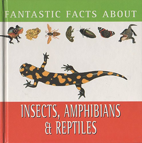 Insects and Reptiles