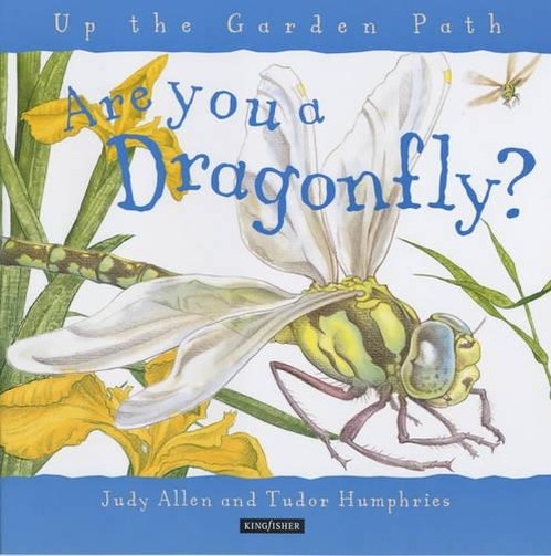 Are You a Dragonfly?