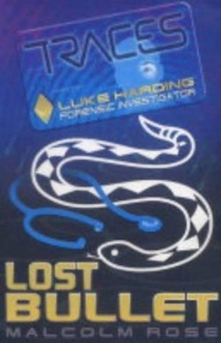Lost Bullet