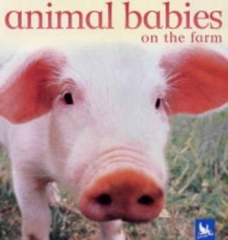 Animal Babies on the Farm