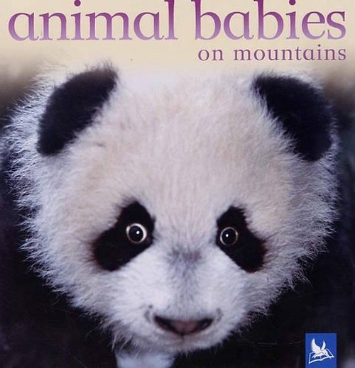 Animal Babies on Mountains
