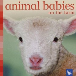 Animal Babies on the Farm