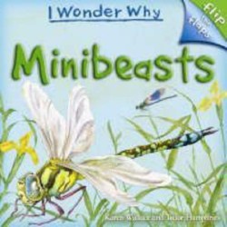 Flip the Flaps: Minibeasts