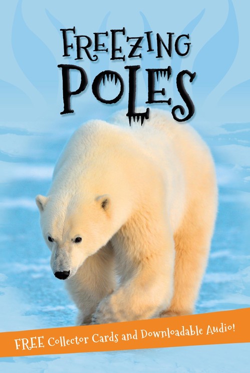 It's all about... Freezing Poles