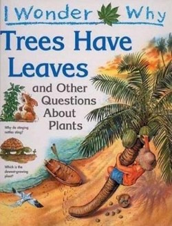 I Wonder Why Trees Have Leaves