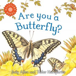 (HM)Backyard:Are You a Butterfly