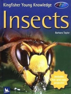 Kingfisher Young Knowledge: Insects