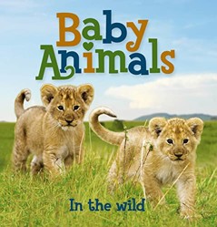 US Baby Animals: Wild Animals