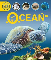 Life Cycles: Ocean
