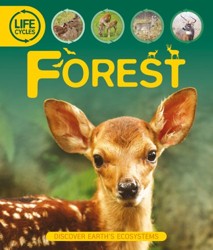 Life Cycles: Forest
