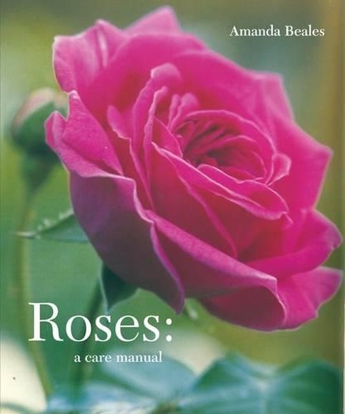 Roses: A Care Manual