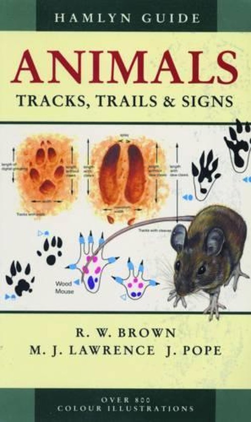 Animals Tracks, Trails and Signs