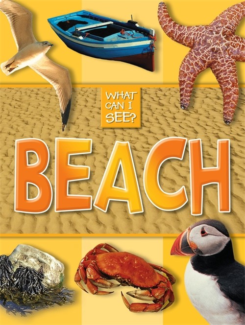 What Can I See?: Beach