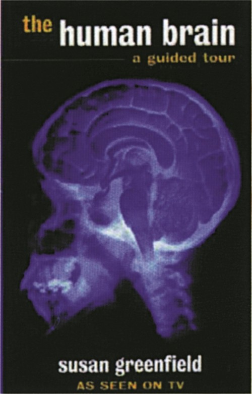 The Human Brain