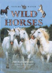 Wild Horses