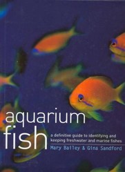 Aquarium Fish