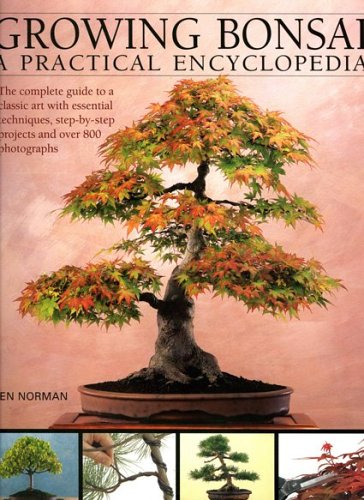 Growing Bonsai