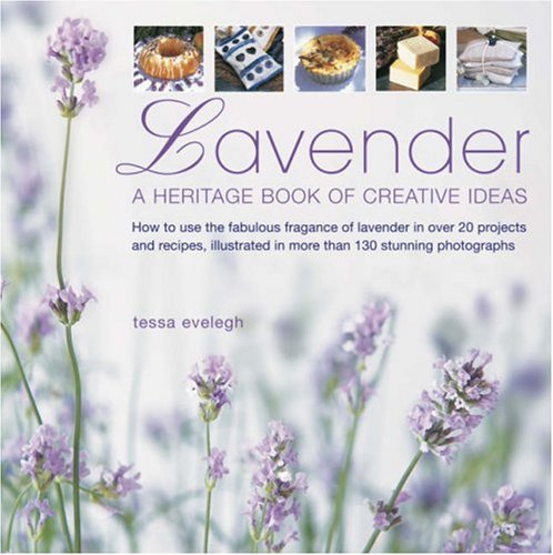 Lavender