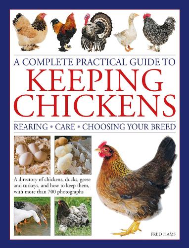 A Keeping Chickens, Complete Practical Guide to