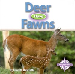Deer Have Fawns
