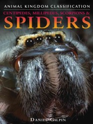 Centipedes, Millipedes, Scorpions, and Spiders