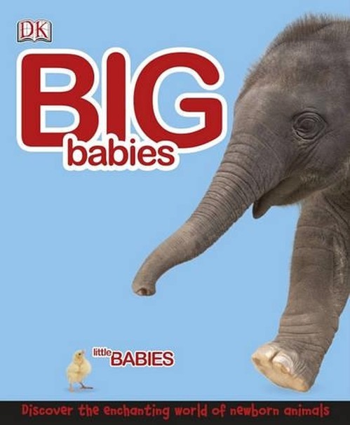 Big Babies, Little Babies