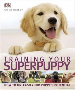 Training Your Superpuppy