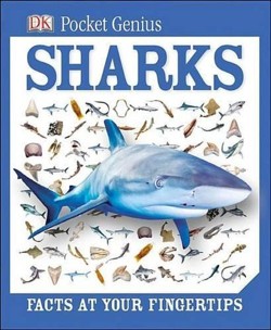 Pocket Genius: Sharks