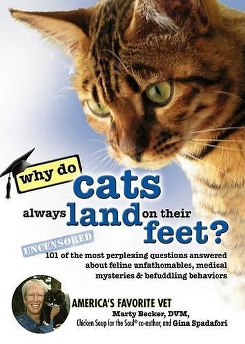 Why Do Cats Always Land on Their Feet?