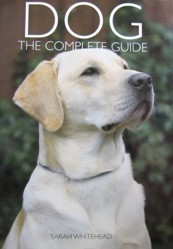 Dog: The Complete Guide Edition: Reprint