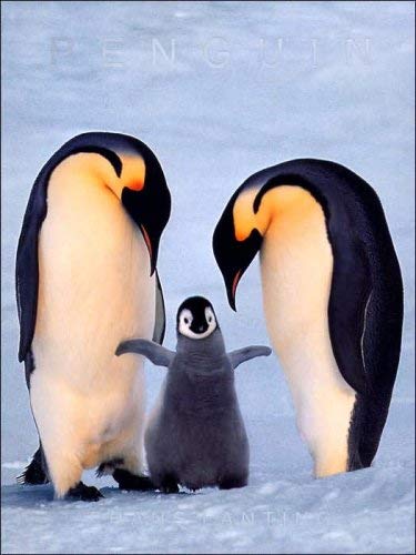 Title: Lanting Penguin