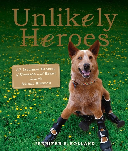 Unlikely Heroes