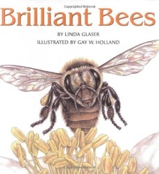 Brilliant Bees