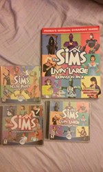 The Sims