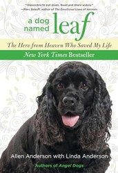 Dog Named Leaf