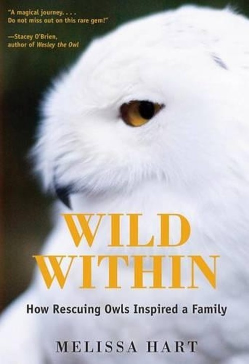 Wild Within