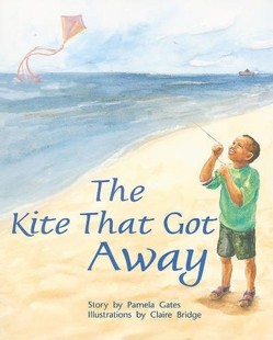 The Kite That Got Away